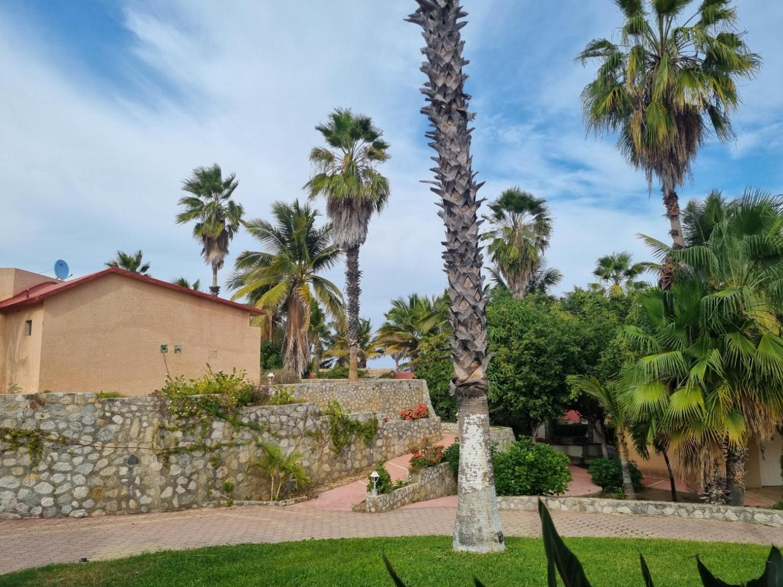 Buena Vista Oceanfront & Hot Springs Resort Buenavista  Екстер'єр фото